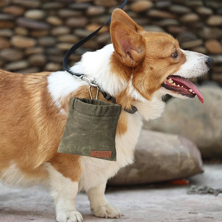 Outdoor Dog Training Bag Portable Dog Reward Bags Durable Puppy Snack Bag Pet Snack Food Container Dog Accessories