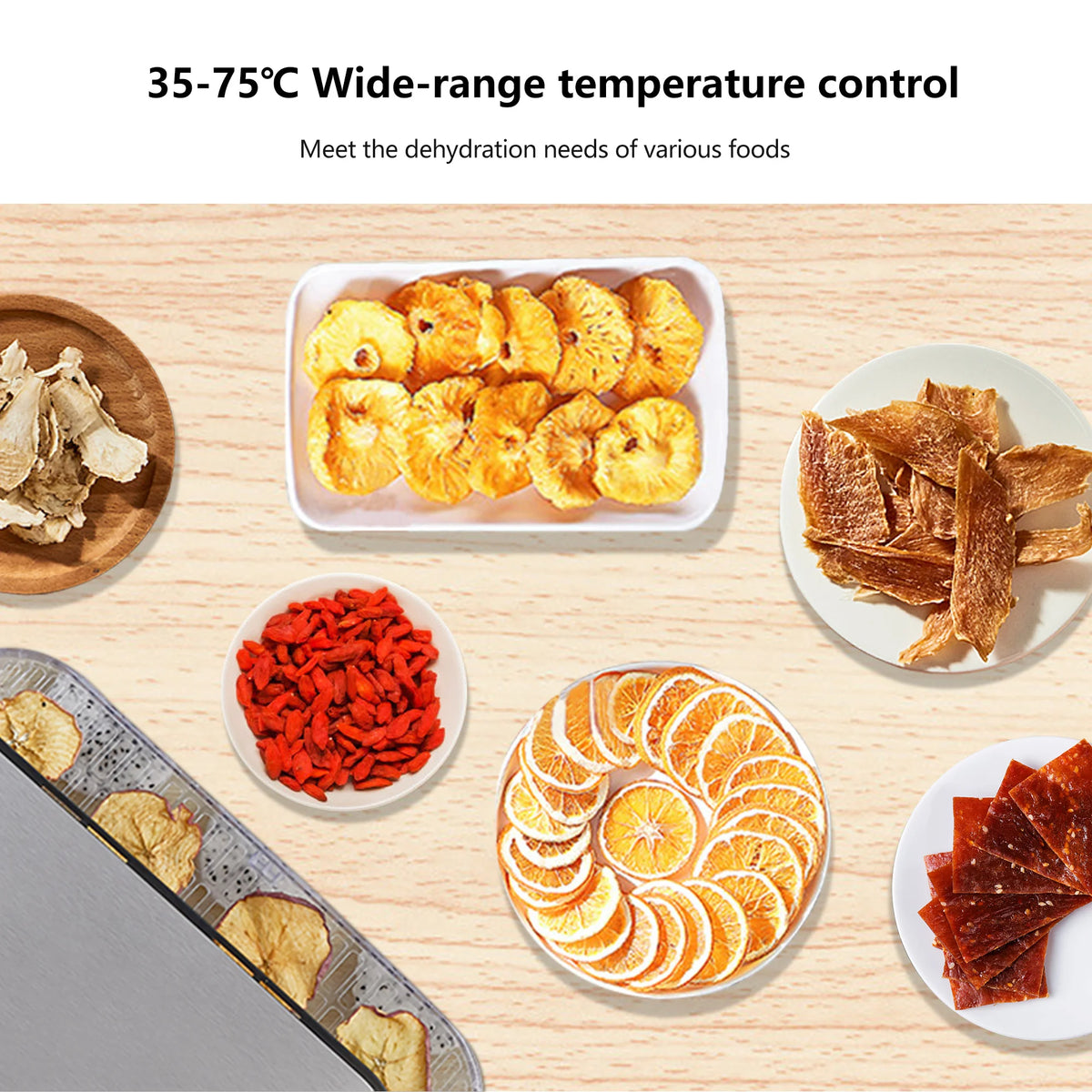 BioloMix BPA FREE 5 Trays Food Dryer Dehydrator with Digital Timer and Temperature Control for Fruit Vegetable Meat Beef Jerky