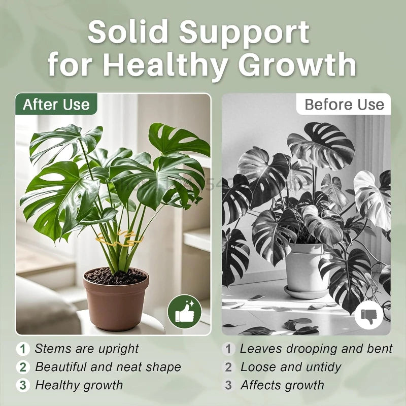 Plant Support for Plants Fixer Flower Stem Gathering Frame Hanging Plant Stand Plants Stabilization Anti-Toppling Fixing