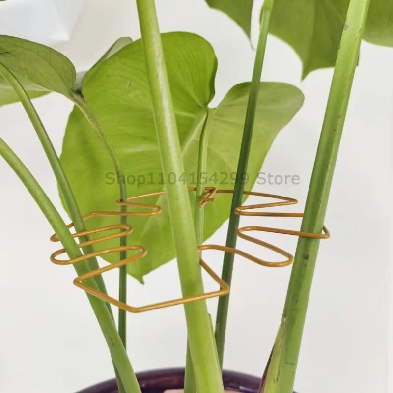 Plant Support for Plants Fixer Flower Stem Gathering Frame Hanging Plant Stand Plants Stabilization Anti-Toppling Fixing
