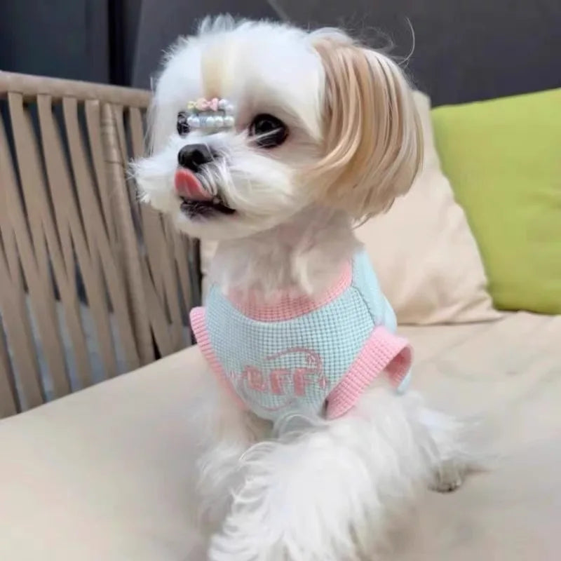 Breathable Dog Vest Spring Summer Pet Clothes for Small Dogs Chihuahua Yorkie Clothing with D-ring Pet Supplies