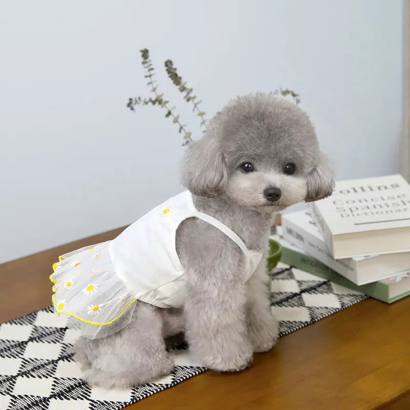 Cute Pet Dog Dress for Small Dogs Thin Puppy Princess Skirt Dog Clothes Chihuahua York Clothing Pet Supplies