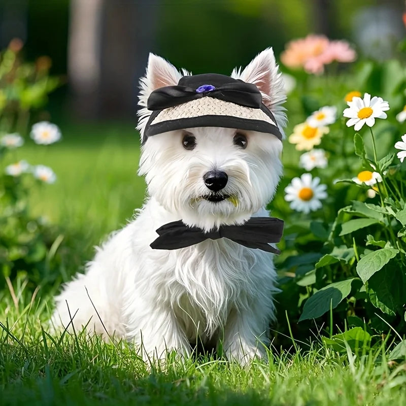 Adjustable Dog Baseball Cap Outdoor Cute Pet Hat for Cats Dogs Breathable Pet Sun Hat with Ear Holes Puppy Headwear Pet Supplies