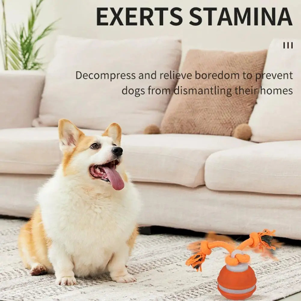 Interactive Dog Toy Ball with Rope Electronic Motion Activated Rolling Ball for Indoor Cat Dog Play Toys for Puppy Training Ball