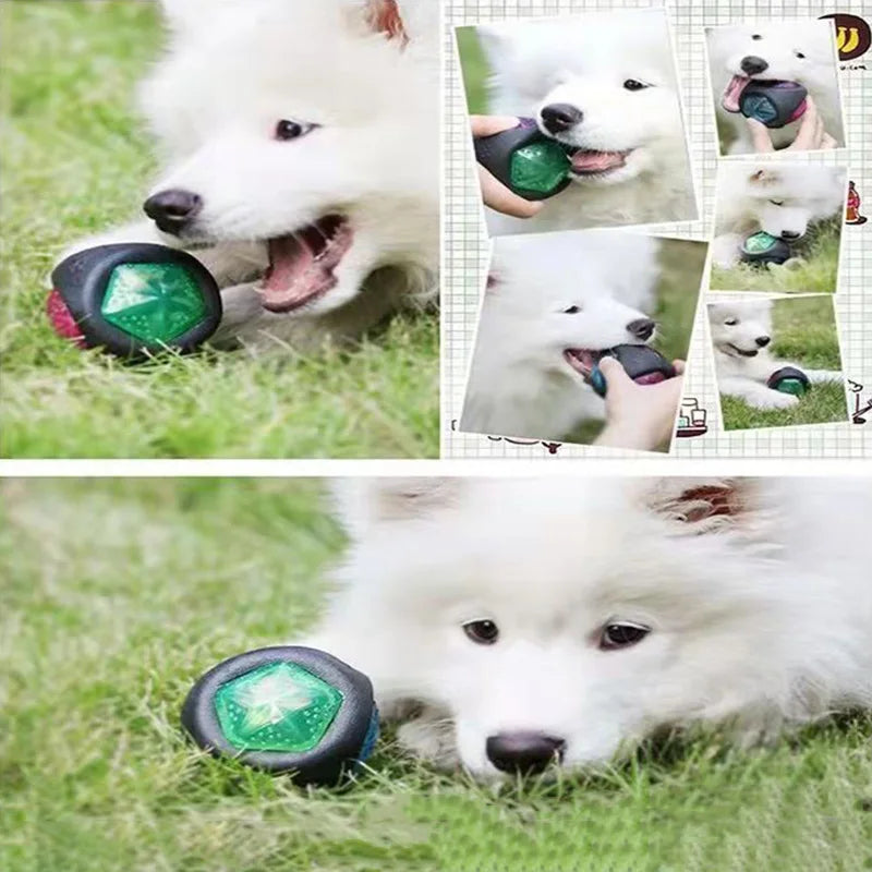 Interactive Pet Dog Toys Funny Dog Light up Ball Puppy Bouncy Balls Bite-resistant Pet Glowing Toys for Dogs Pet Supplies