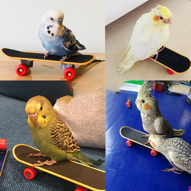 Mini Parrot Training Skateboard Creative Parrot Balance Toy for Small Medium Birds Interactive  Intelligence Training Toy