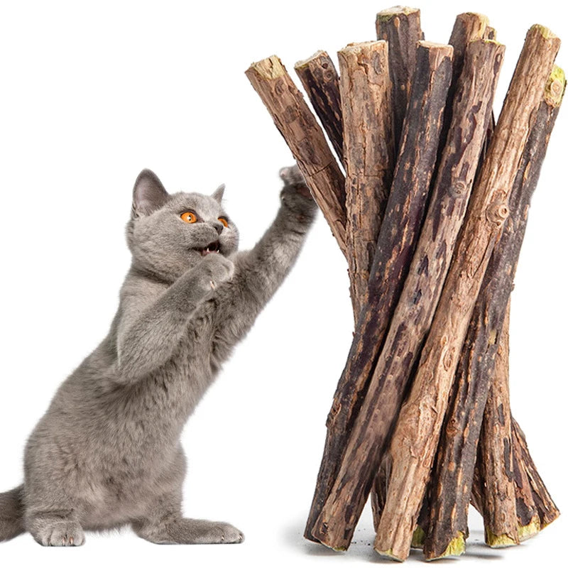 10pcs/lot Cat Toys Natural Cat Catnip Toy Pet Silvervine Sticks for Cats Kitten Teeth Cleaning Sticks Pet Chew Toys
