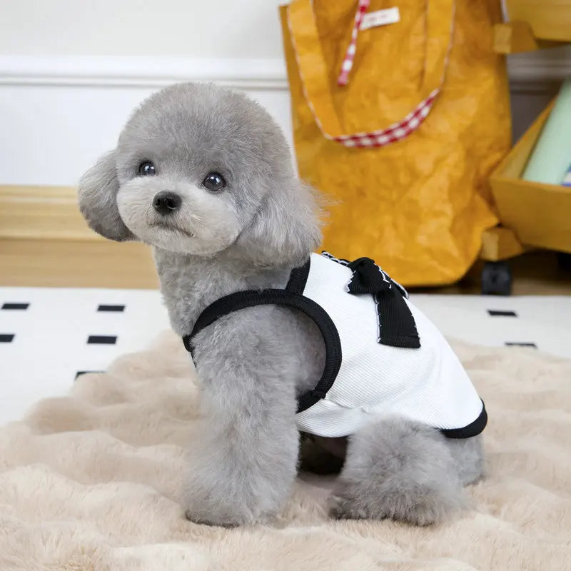 Summer Thin Dog Vest Breathable Pet Clothes for Small Medium Dogs Cute Puppy T-shirt Chihuahua Yorkie Clothing Dog Accessories
