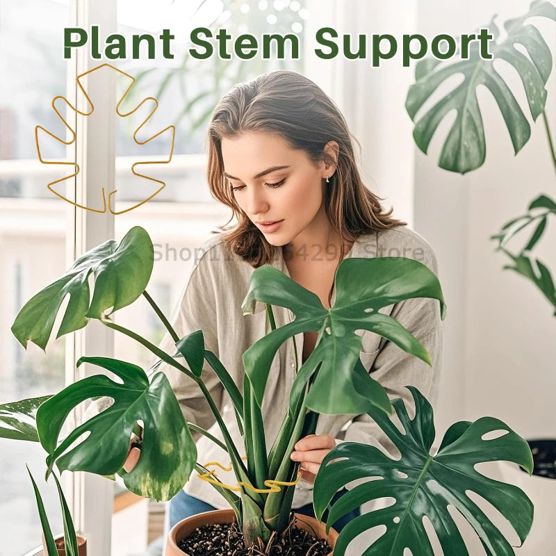 Plant Support for Plants Fixer Flower Stem Gathering Frame Hanging Plant Stand Plants Stabilization Anti-Toppling Fixing
