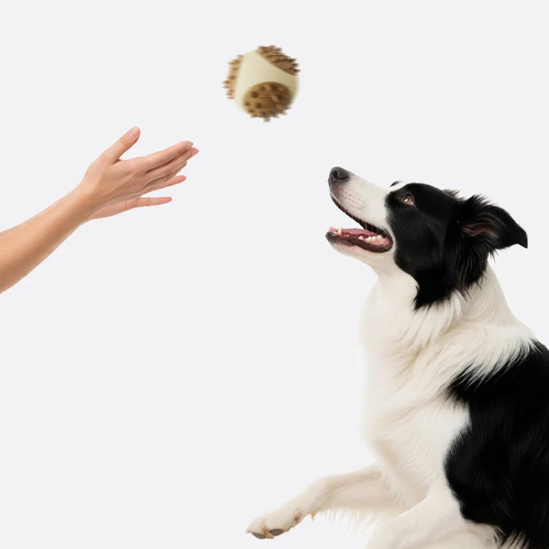 TPR Pet Dog Chew Toys Bite-resistant Pet Leaking Food Toys for Small Large Dogs Puppy Grinding Ball Toy Pet Supplies