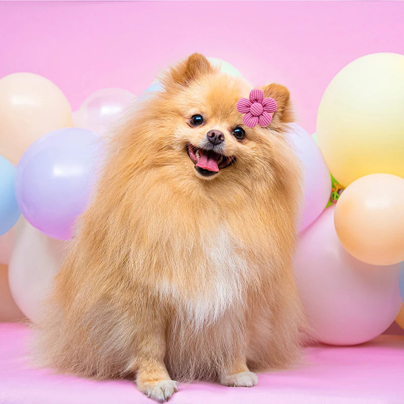 10pcs/set  Flower Pet Dog Bow Decoration with Rubber Band Head Flower Puppy Dog Hair Bowknot Grooming Accessories