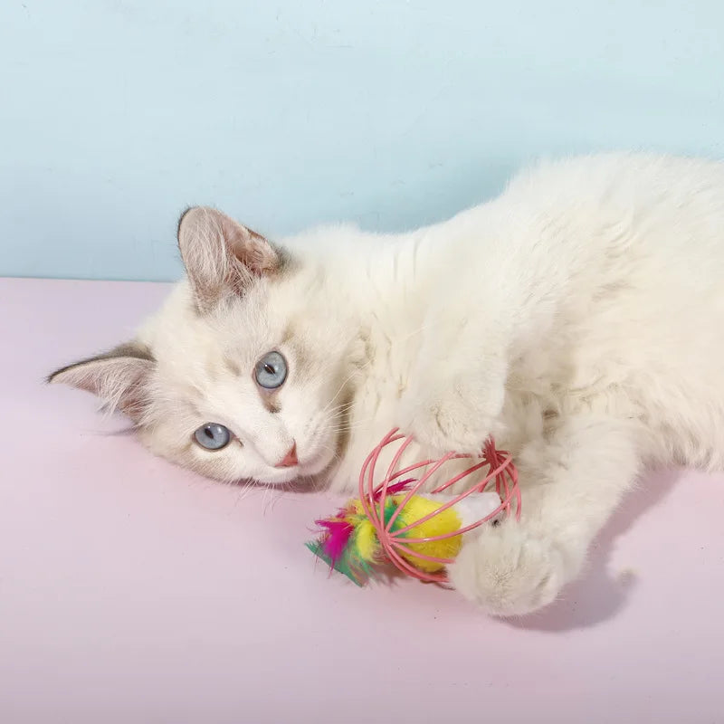 5 PCs Cat Mouse in Cage Toy Interactive Cat Balls Toy Random Color Kitten Creative Playing Toys Cat Mouse Toy Pet Supplies