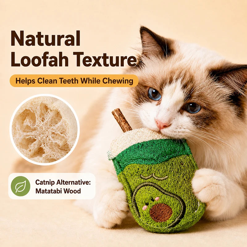 Loofah Cat Chew Toy with Matatabi Stick Natural Dental Cleaning Kitten Teething Toy Interactive Solo Play Pet Supplies