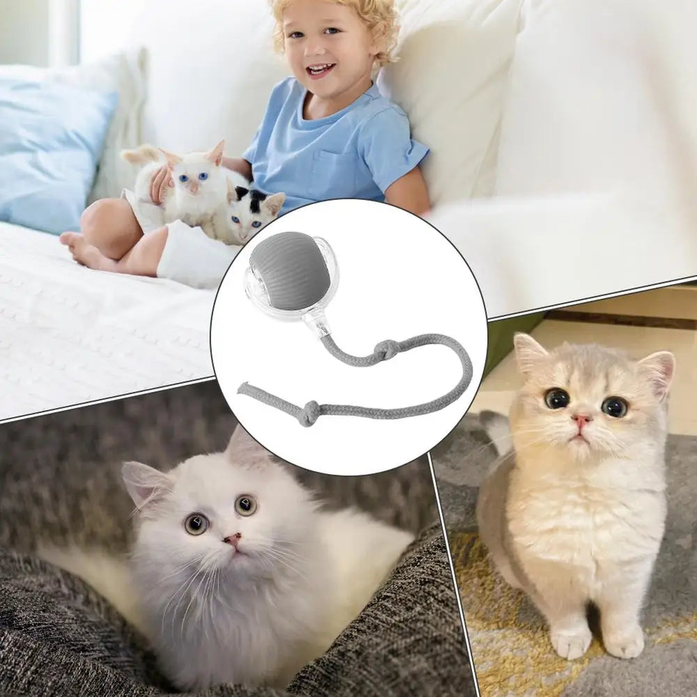 Automatic Rolling Ball Toy For Cat Electric Cat Toy Rolling Ball Pet Electric Toy Cat Training Imitate rats Indoor Playing Toys