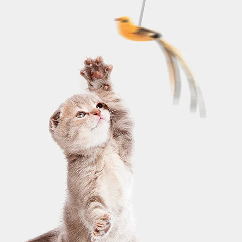 A fluffy, light gray kitten with folded ears, playfully reaching for a bird-shaped toy.