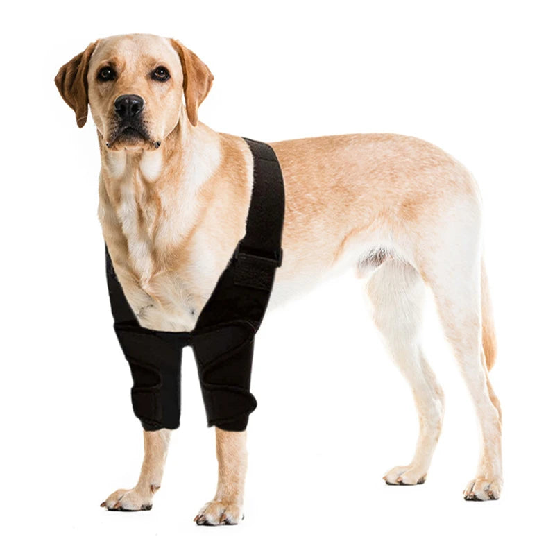Adjustable Dog Front Leg Protective Case Breathable Pets Clothes Knee Pads for Medium Large Dogs Pet Joints Protective Case