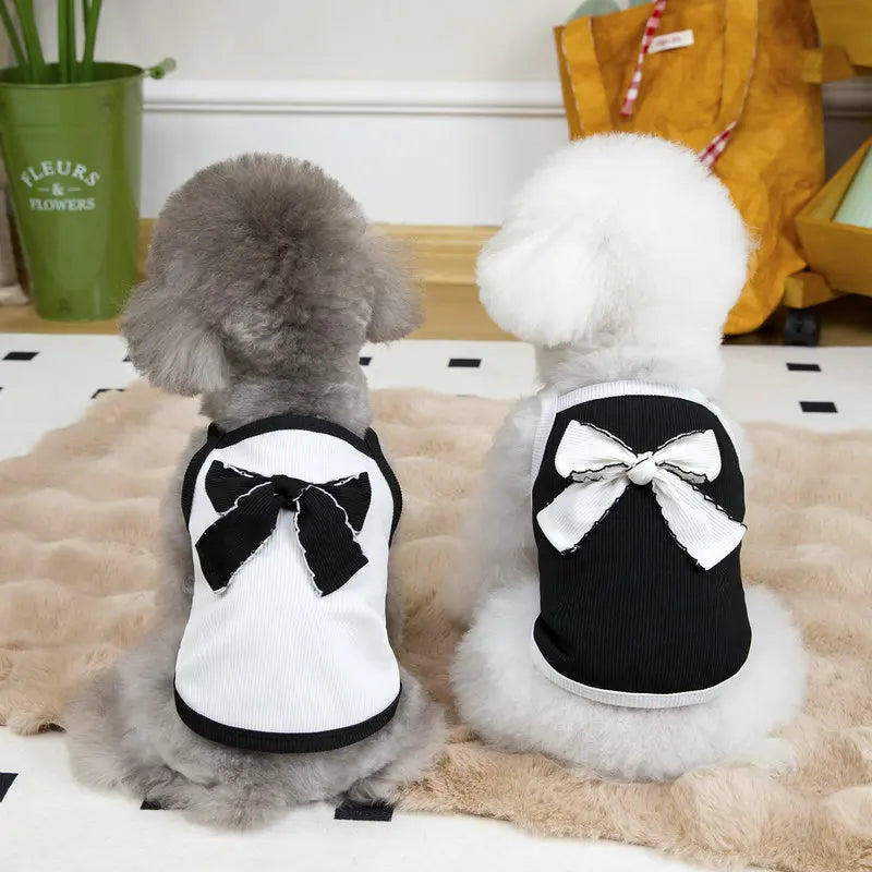 Summer Thin Dog Vest Breathable Pet Clothes for Small Medium Dogs Cute Puppy T-shirt Chihuahua Yorkie Clothing Dog Accessories