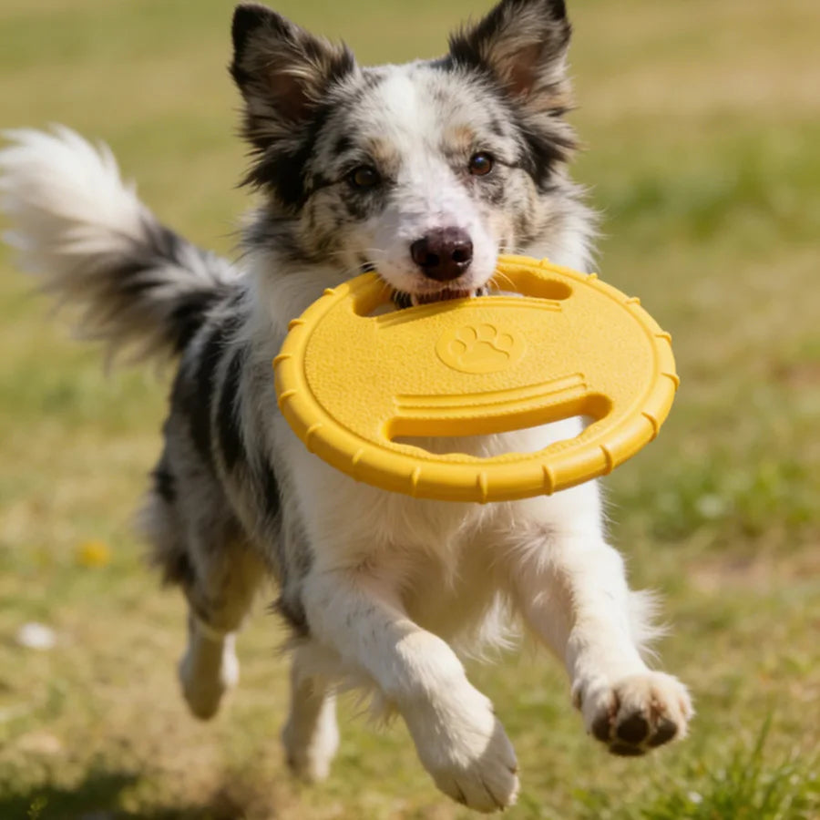 Interactive Dog Flying Discs Toy Outdoor Pet Training Toys for Small Medium Large Dogs Bite Resistant Puppy Toy Dog Accessories
