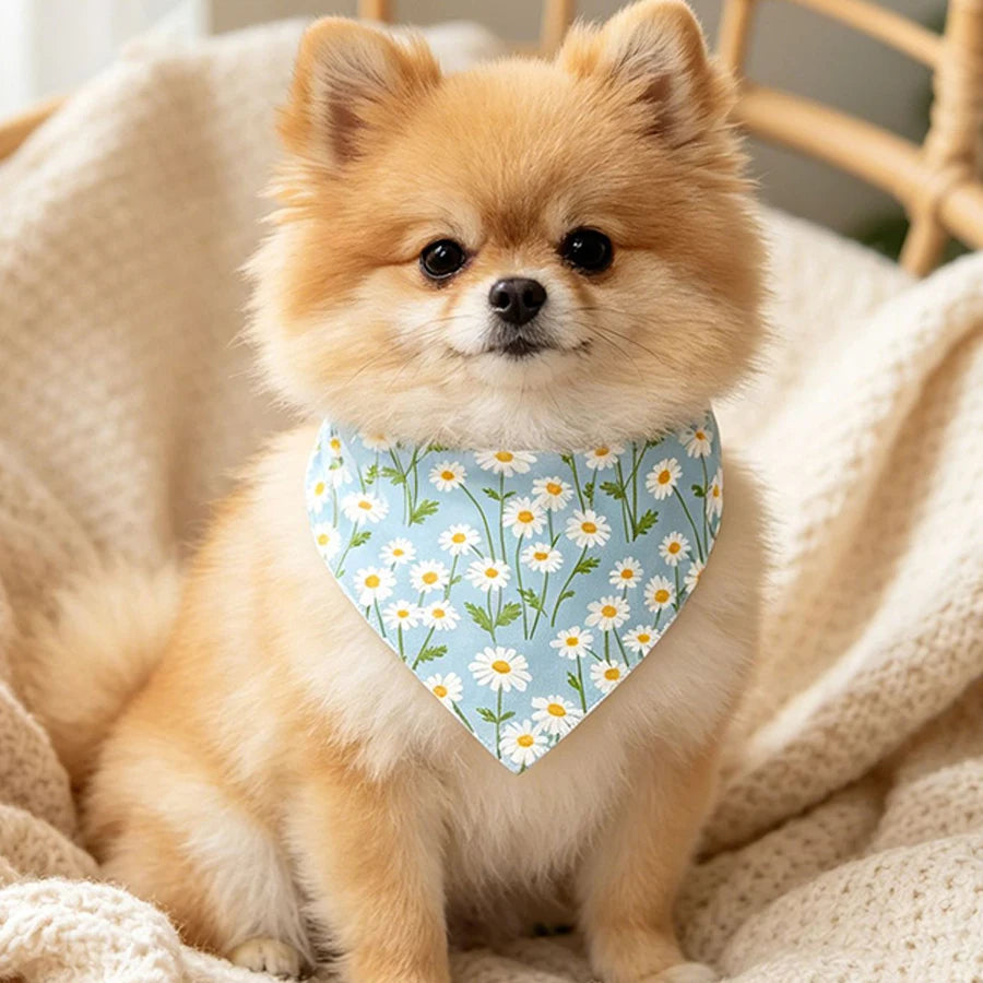 1/3 PCs Pet Dog Bandana Cute Flower Print Dog Cat Neck Wear Scarf Pet Dress Up Bandanas in Spring Dog Accessories