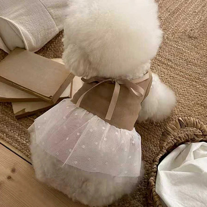 Summer Dog Dresses Breathable Pet Dog Skirts for Small Dogs Cats Chihuahua Yorkie Sweet Skirts Thin Dog Clothes Pet Supplies