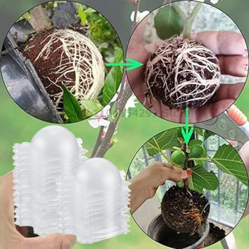 Plant Rooting Ball Grafting Rooting Box Breeding Case High Pressure Plant Root Growing Box for Garden Planting Supply
