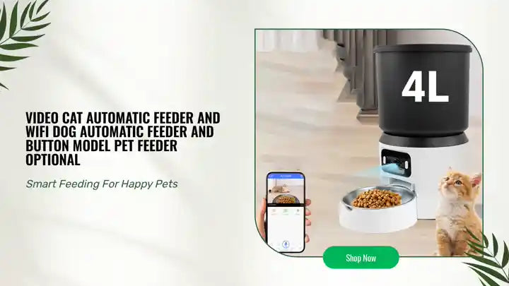 Video cat automatic feeder and WIFI dog automatic feeder and button model pet feeder optional by@Outfy
