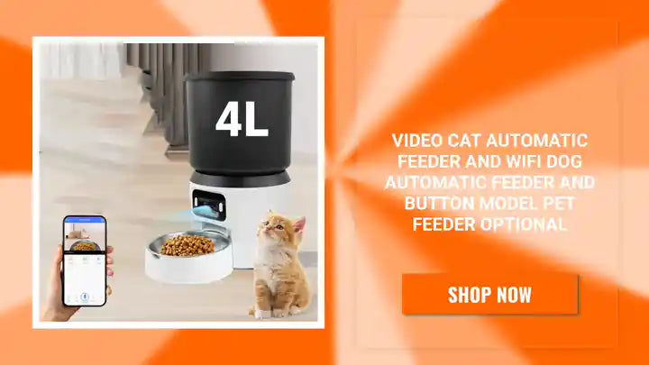 Video cat automatic feeder and WIFI dog automatic feeder and button model pet feeder optional by@Outfy